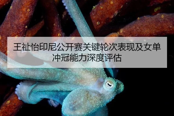 wang-zhi-yi-yin-ni-gong-kai-sai-guan-jian-lun-ci-biao-xian-ji-nv-dan-chong-guan-neng-li-shen-du-ping-gu-2-930.jpg